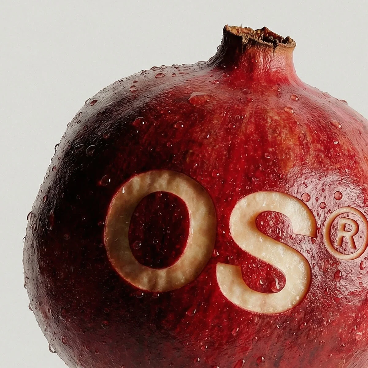 Pomegranate Orchard identity